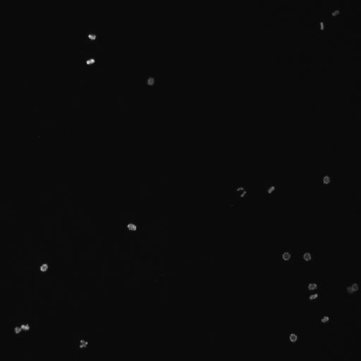 ../_images/ecdc43d4c7179ba72456a041a850d5013e889ebe0f131f67f486aa68ffdc506b.png