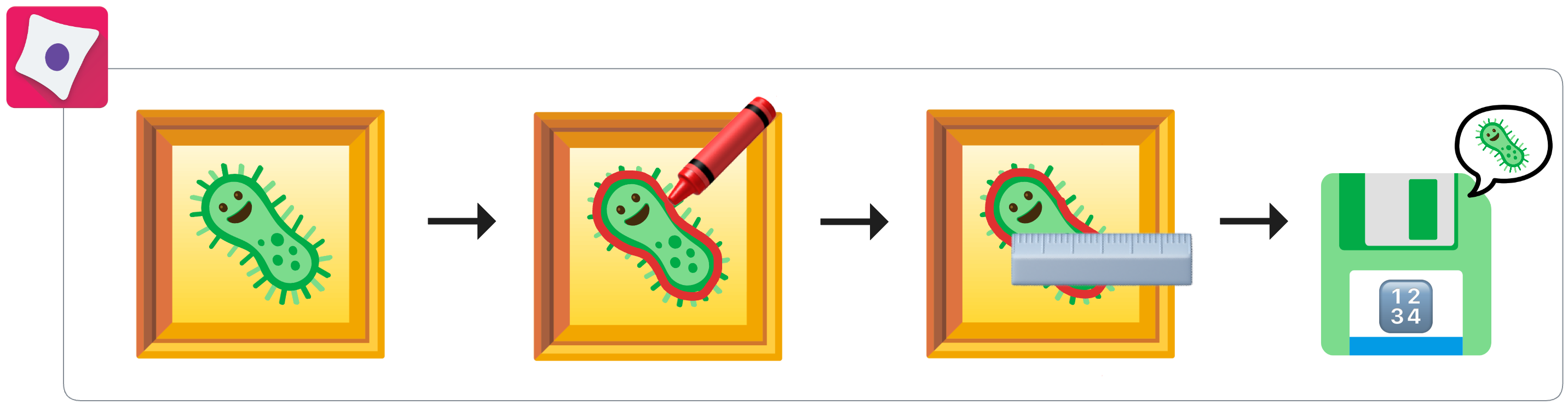 Image showing CellProfiler being used to create image segmentations, measurements, and exporting numeric feature data to a file.