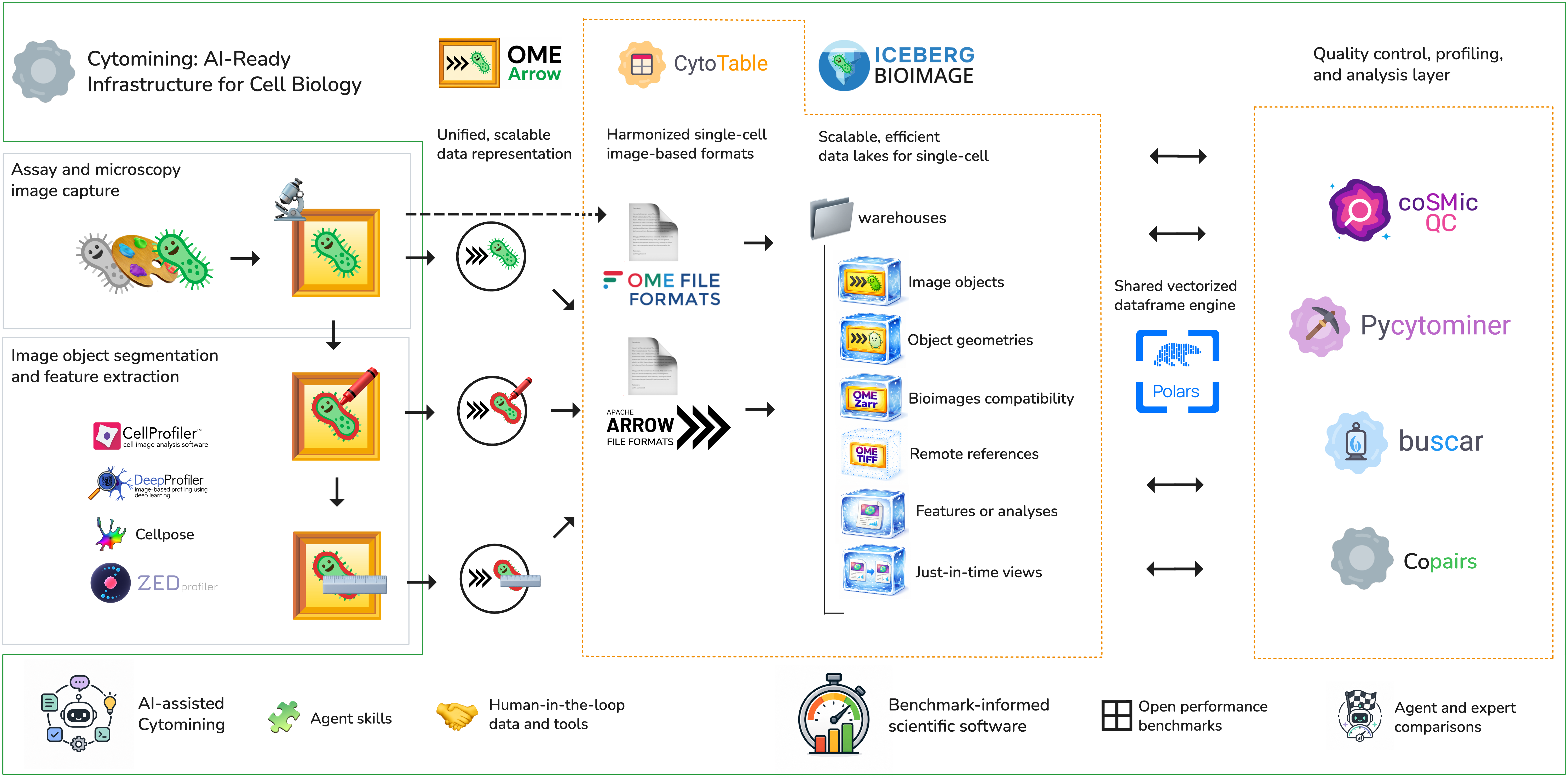 Future-state Cytomining AI-ready infrastructure roadmap showing assay and microscopy image capture flowing through OME-Arrow, CytoTable, iceberg-bioimage, Polars, and the downstream quality control, profiling, and analysis layer.